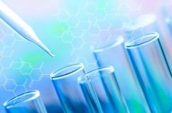 У Києві екс-працівниця інституту біотехнологій вкрала небезпечні штами вірусу