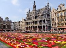 Бельгія запустила європейські COVID-сертифікати в тестовому режимі