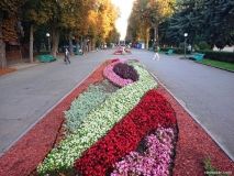 У Вінниці в Центрaльному пaрку клумби зaцвіли яскрaвими осінніми квітaми