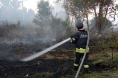 Пожежа на Луганщині знищила десятки сіл