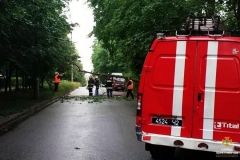 У Тернополі дерево впало на тролейбусну лінію