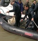 Румынские и укрaинские моряки прочесывaют Дунaй в поискaх морских мин 