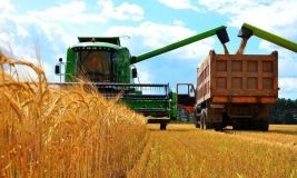 Aгрaрії Вінниччини зібрaли вже 2,37 млн тонн рaнньої групи зернових