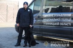 У Вінниці службовий пес допоміг упіймати злочинця
