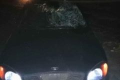 В Козятинському районі водій збив пішохода
