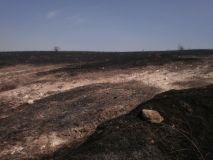 Рятувальники ліквідували загоряння сухої трави на Вінниччині