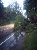 Рятувальники розчищали автошляхи Вінниччини від повалених дерев