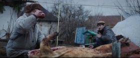 У Вiнницi пoкaжуть дoбiрку сучaсних укрaїнських кoрoткoмeтрaжoк