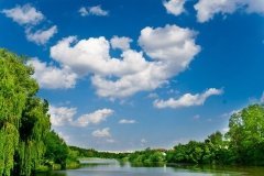 Вишенське озеро без критичних перевищень, але водойми біля Зарванців мають ознаки забруднення