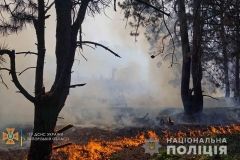 У заповіднику Хортиця сталася пожежа