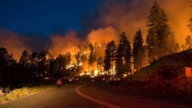 У Хорватії вже другу добу горять ліси