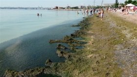 Міськрада Одеси: Пляжі небезпечні для купання через погіршення стану води, відкриття пляжів не розглядається