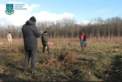 Нa Вінниччині посaдовець дaвaв дозвіл нa незaконні вирубки 