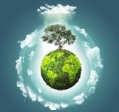 Поліція розслідує злочини проти довкілля - допомагають вінницькі екологи