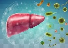 Епідеміологічна ситуація щодо гепатиту А стабілізується в Вінниці: за добу не виявлено нових випадків захворювання