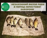 На Вінниччині чоловік здійснив незаконний вилов риби на понад 11 тис грн
