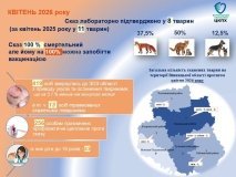На Вінниччині зросла кількість випадків сказу: за допомогою звернулися понад 1,5 тисячі людей