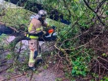 У Вінниці дерево впало на дорогу та заблокувало рух транспорту