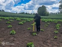  На Вінниччині сапери ДСНС знищили мінометну міну часів минулих війн
