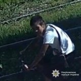 У Вінниці розшукують велосипедиста, який збив жінку та втік з місця ДТП