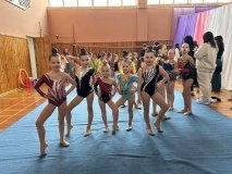 У Козятині відбулися масштабні змагання з художньої гімнастики: юні таланти та майстри спорту підкорили килим