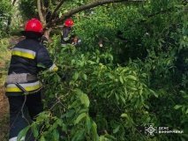  Негода на Вінниччині: рятувальники прибрали повалені дерева у Вінниці та Літинській громаді