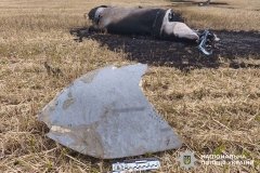 Над Вінниччиною знешкодили крилату ракету Х-101: вибухотехніки поліції ліквідували її уламки
