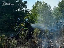 За добу на Вінниччині сталося 12 пожеж: вогонь знищив понад 12 гектарів землі