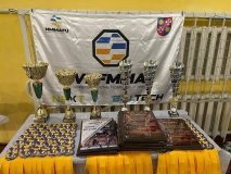 Кубок Вінниччини з ММА: спортивна подія на честь полеглих Героїв Козятинщини