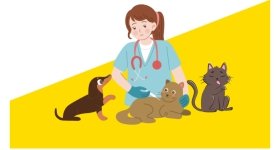 У Вінниці та селах громади триватиме безкоштовна вакцинація тварин від сказу до кінця вересня