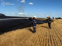 На Вінниччині рятувальники ліквідували 7 пожеж на відкритих територіях