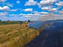 Понад 5 гектарів вигоріло: на Вінниччині за добу 15 разів гасили пожежі в екосистемах