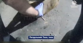 Зі зламаною ногою лежала біля дороги: у Вінниці патрульні врятували поранену козулю