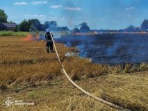 На Вінниччині вогонь знищив понад 6 гектарів землі: рятувальники ліквідували шість пожеж