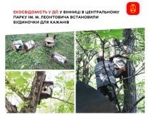 У Вінниці встановили будиночки для кажанів у Центральному парку ім. М. Леонтовича