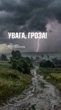 На Вінниччині 1 вересня очікується гроза: оголошено жовтий рівень небезпечності