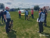 Вінницькі рятувальні собаки знову серед найкращих в Україні
