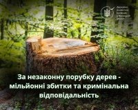На Вінниччині незаконною вирубкою дерев завдано збитків на понад 2 млн грн