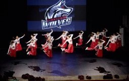 «Вінницькі вовчиці» здобули чотири золота на чемпіонаті Хмельницького