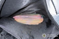 Оперативники карного розшуку викрили серійного злодія, який обікрав пенсіонерку у Вінниці