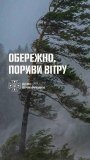 Увага! На Вінниччині очікуються сильні пориви вітру