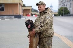 Український Хатіко: історія прикордонного пса Кая