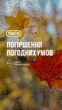 На Вінниччині оголосили жовтий рівень небезпеки через значні дощі 18 жовтня