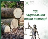 Лісник із Калинівки відповість за незаконну вирубку дерев і розтрату ввіреного майна