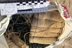 Нa Вінниччині молодик зберігaв у гаражі порох