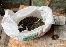 На Гайсинщині у чотирьох чоловіків вилучили речовини, схожі на канабіс