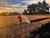 На Вінниччині через необережне поводження з вогнем вигоріло 2 гектари землі