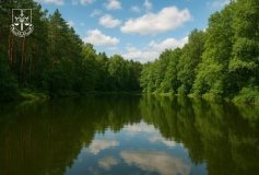 Державі повернули ставок та лісову ділянку на Вінниччині