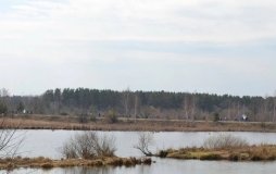 Прокуратура повернула Іванівській громаді дамбу вартістю понад 200 мільйонів гривень