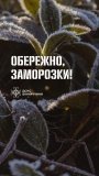 На Вінниччині знову прогнозують сильні заморозки: оголошено помаранчевий рівень небезпеки